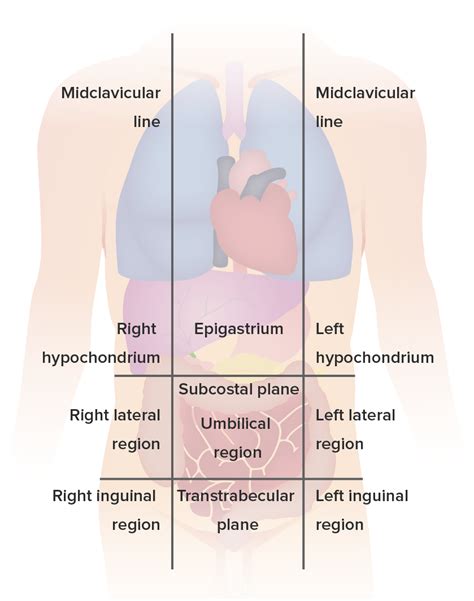 abdominal deutsch